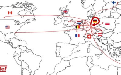 Wahlabschnitt und Vorbereitung auf die Laufbahnprüfung AB 2017 und BRef 2016